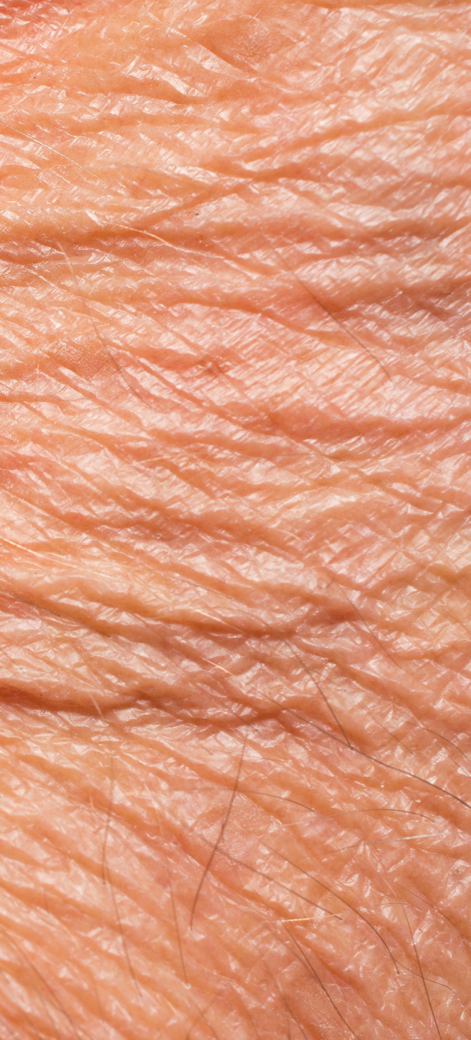 Fältchen und Falten - KLOTZ LABS Kosmetikmanufaktur